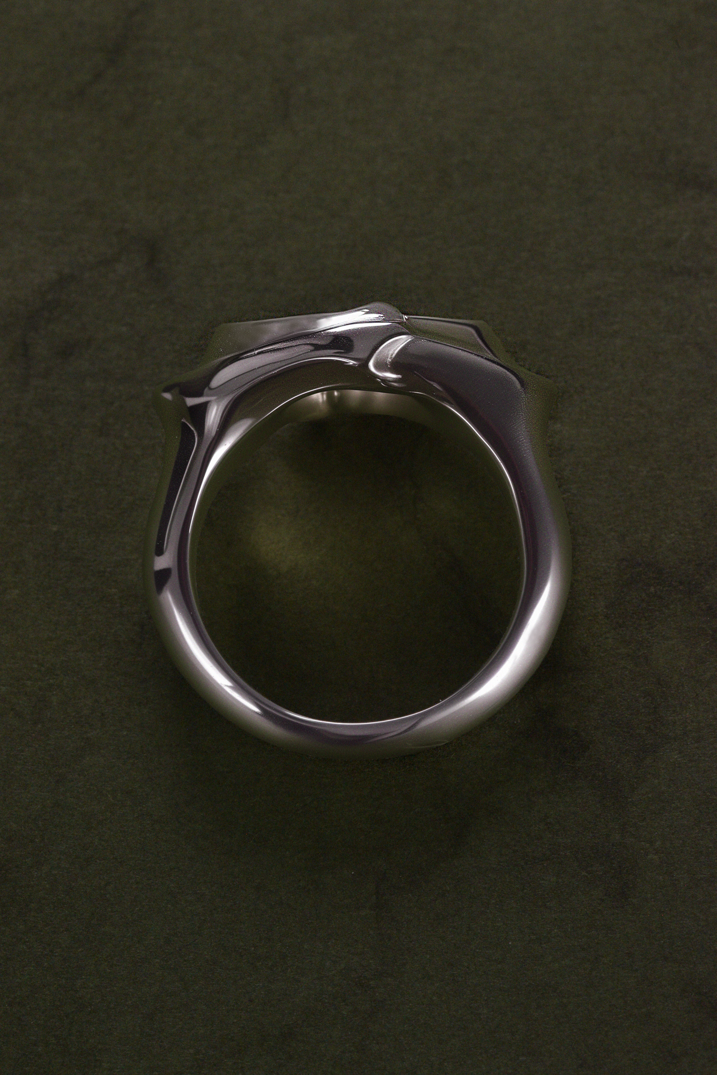 The Contour Signet